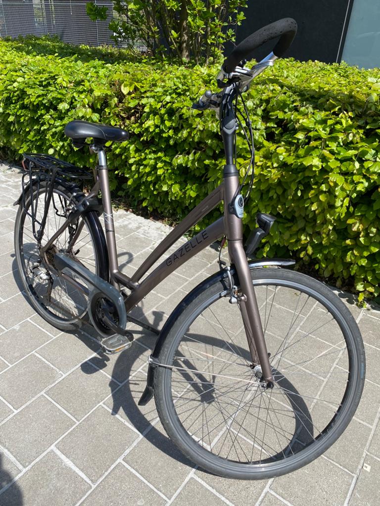 Gazelle Chamonix Trekking, Fietsen en Brommers, Ophalen of Verzenden, Zo goed als nieuw, Gazelle
