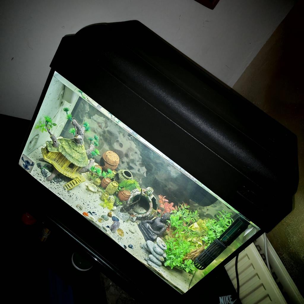 Aquarium 60 l Advance, Ophalen, Verwarming, Zo goed als nieuw, Filter