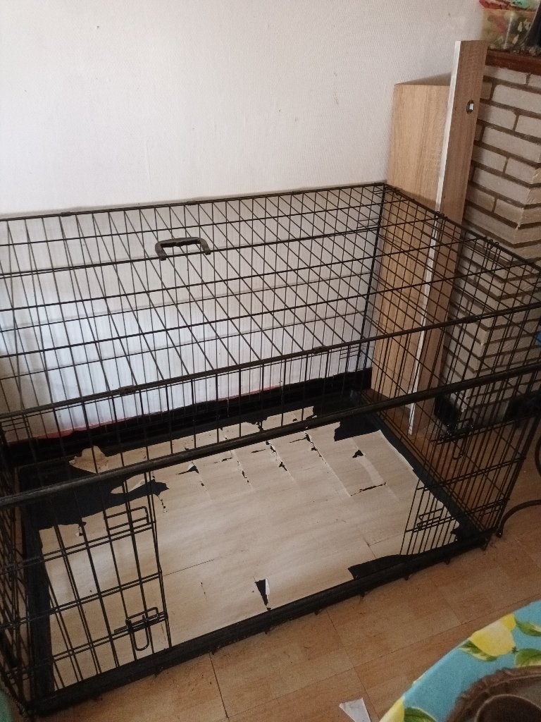 Cage pour chien, Enlèvement, Utilisé