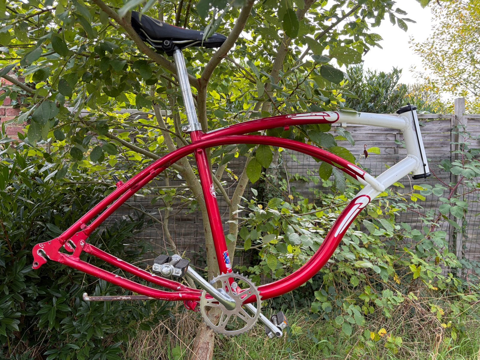 Cruiser schwinn cadre, 51 à 55 cm, Frein sur jante, Cruiser, Aluminium