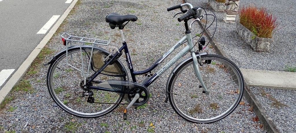 Minerva, Vélos & Vélomoteurs, 50 à 53 cm, Enlèvement, Comme neuf, Vitesses