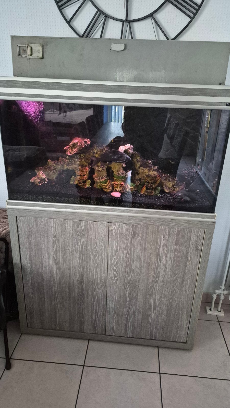 aquarium  met nog enkele vissen en toebehoren, Ophalen, Inclusief toebehoren, Aquatlantis, Aquariummeubel