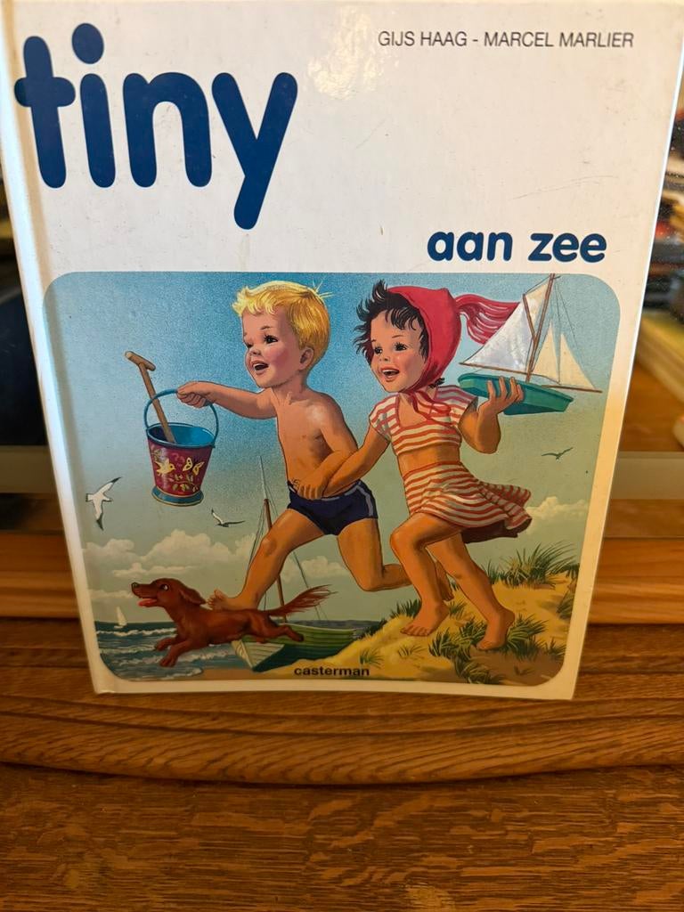 Haag - Tiny aan zee, Boeken, Non-fictie, Zo goed als nieuw, Haag, Ophalen of Verzenden
