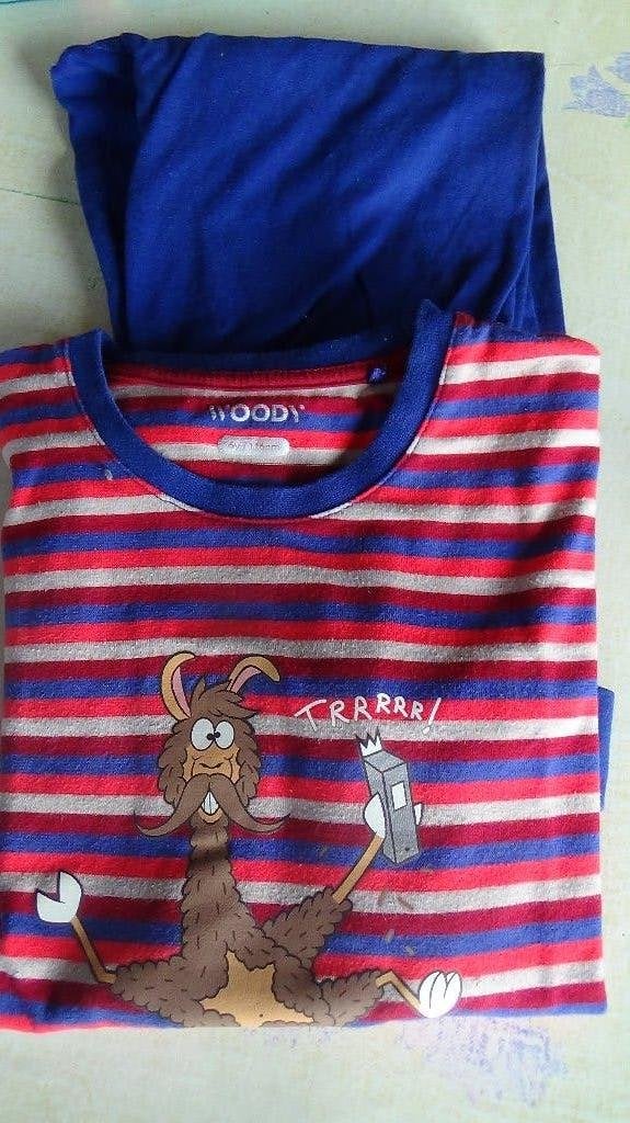 woody pyama's kinderen, Enlèvement