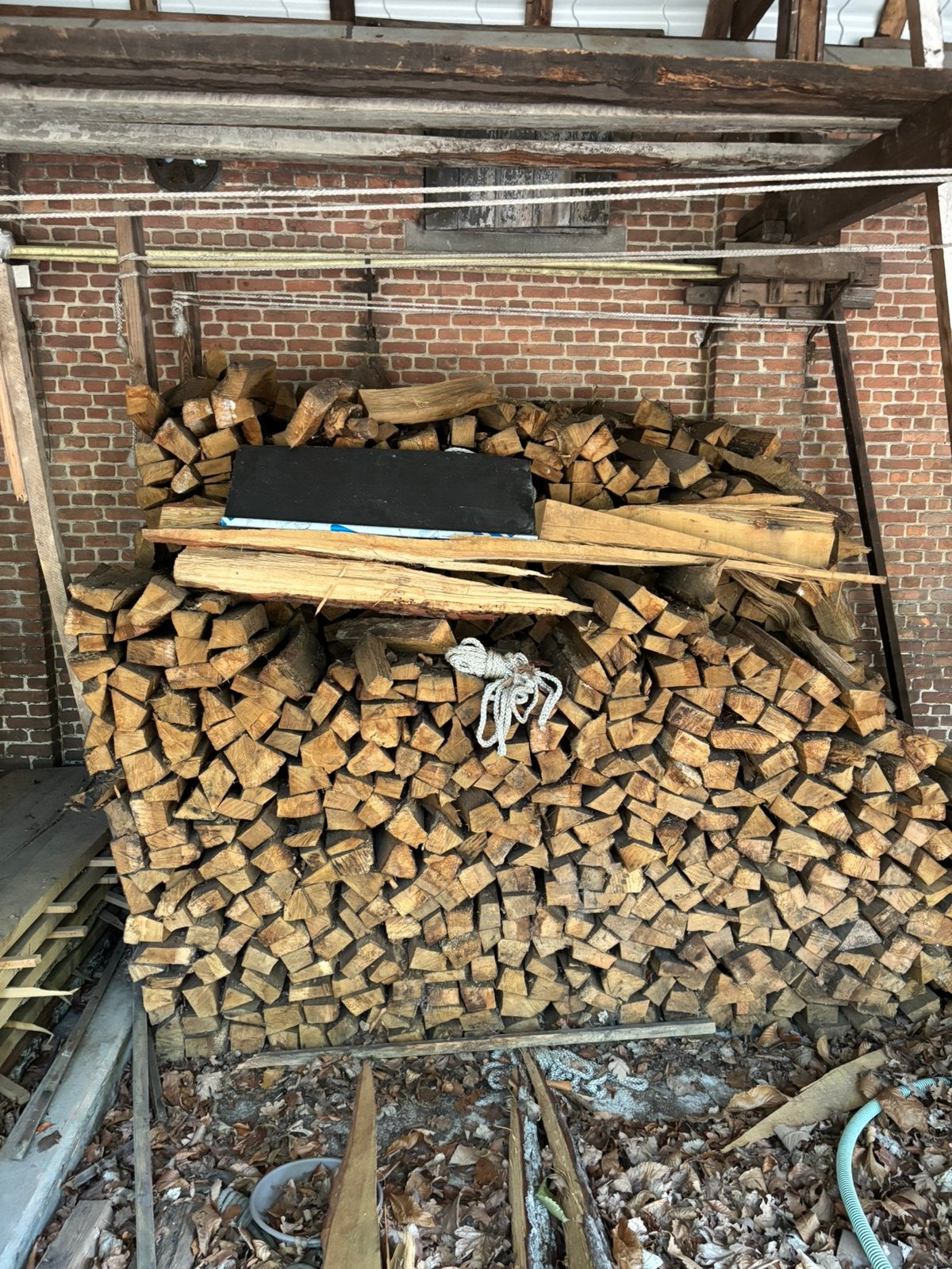 Brandhout eik uit stam, Enlèvement