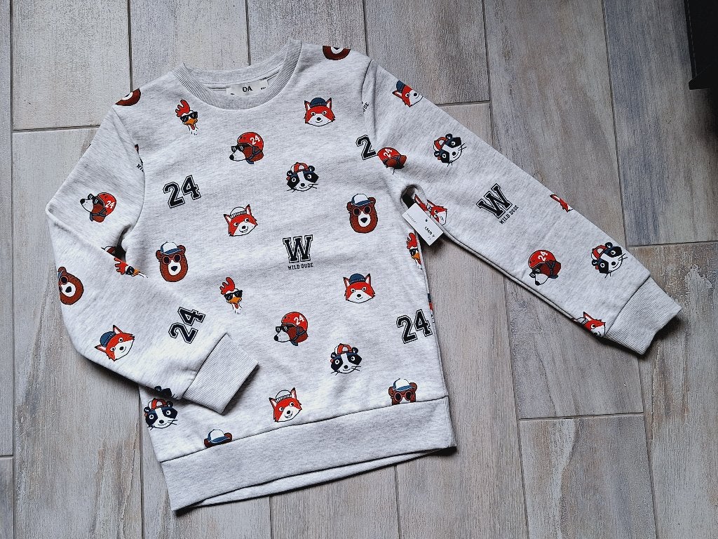 ★ M134 - Nieuwe trui, Ophalen of Verzenden, Nieuw, Jongen, Trui of Vest