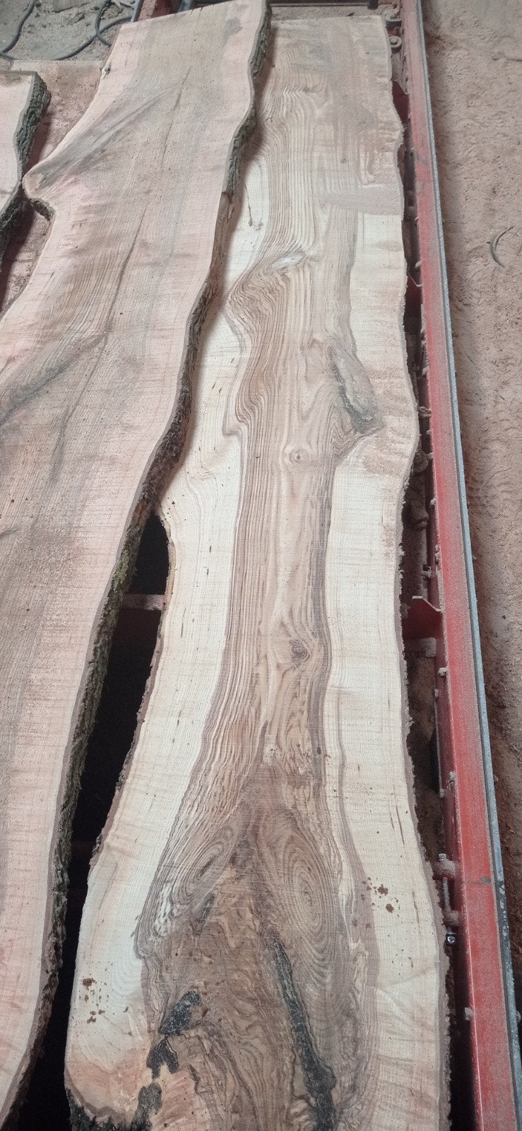 Boomstam planken es niet droog 50 breed 3m 6 cm dik, Enlèvement