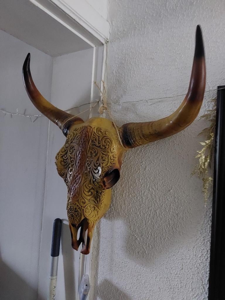 Tête de taureau, Ophalen