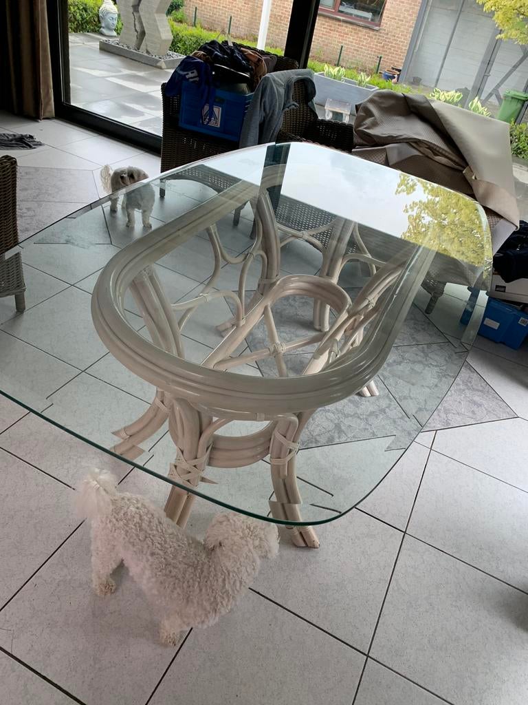Glazen tafel met rotan voet, Ophalen, Gebruikt