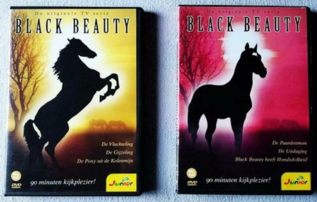 !!! Black Beauty !!!, Cd's en Dvd's, Dvd's | Tv en Series, Gebruikt, Actie en Avontuur, Alle leeftijden, Ophalen of Verzenden