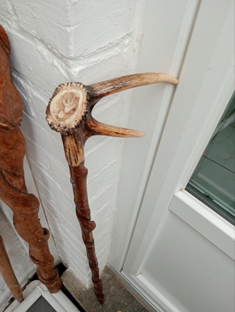 Riet 90,5 cm.