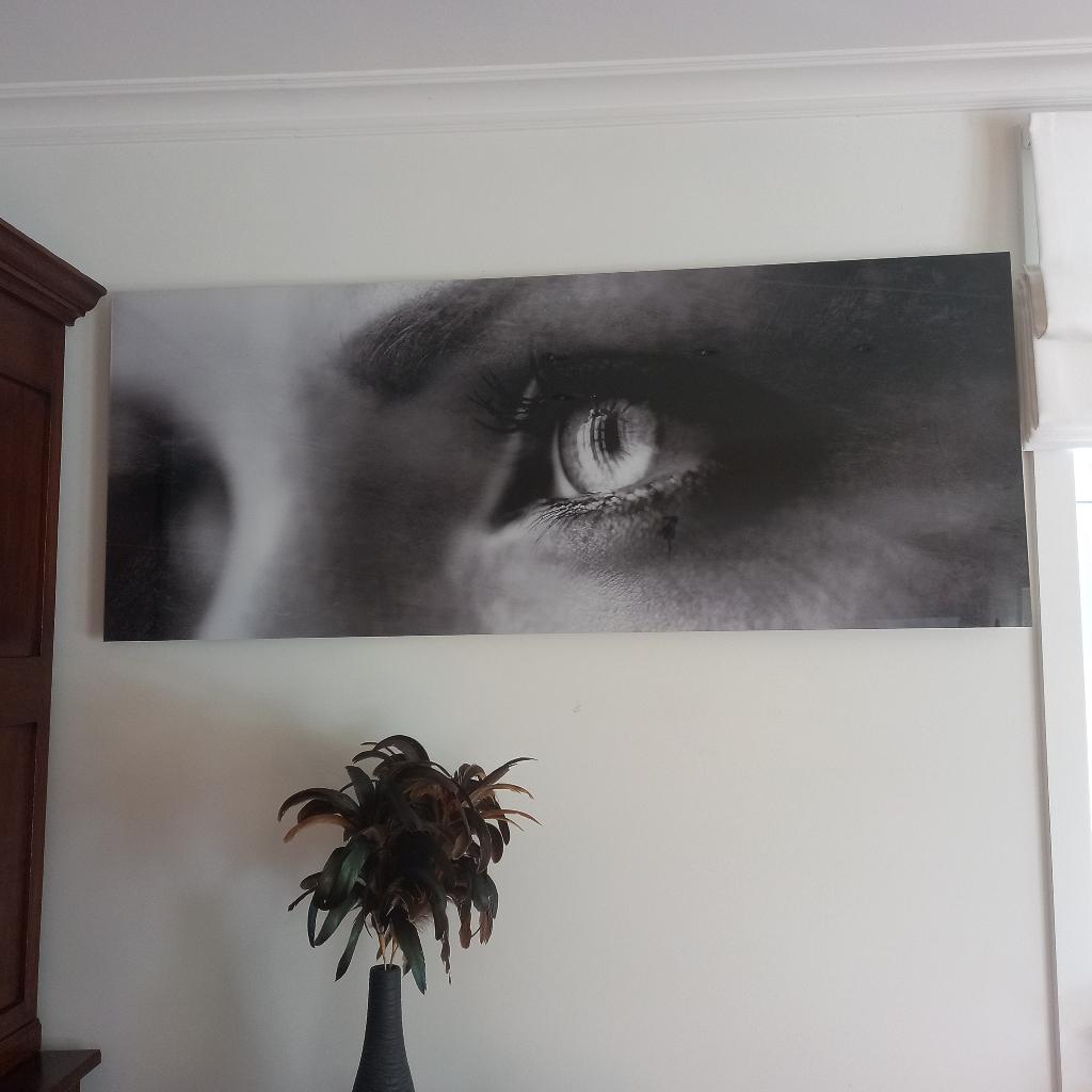 MARNIX DE PAEPE , foto op plexiglas, Enlèvement