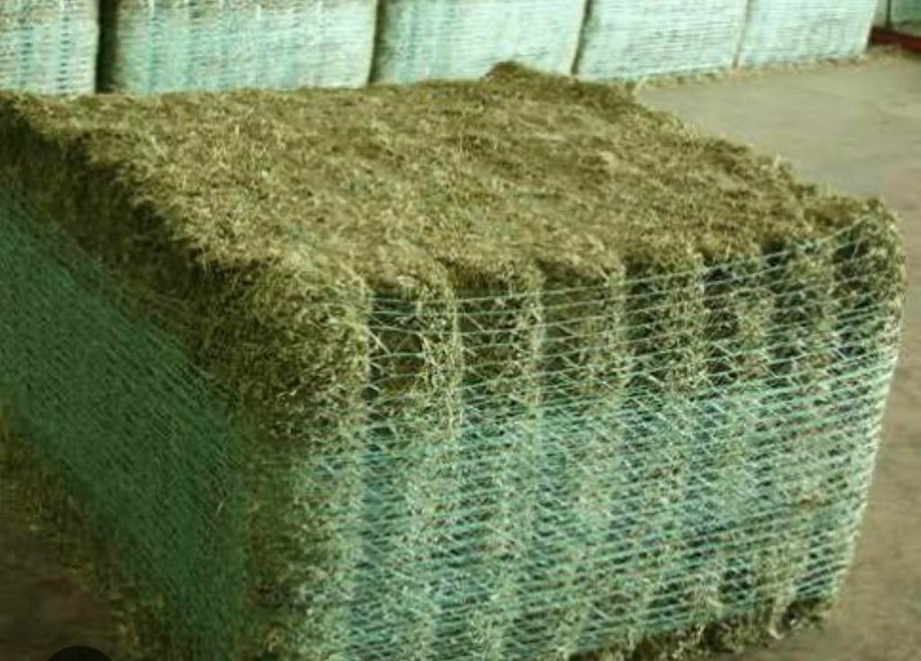 Pakken Luzerne te koop, Rumiplus, Dieren en Toebehoren, Ophalen of Verzenden