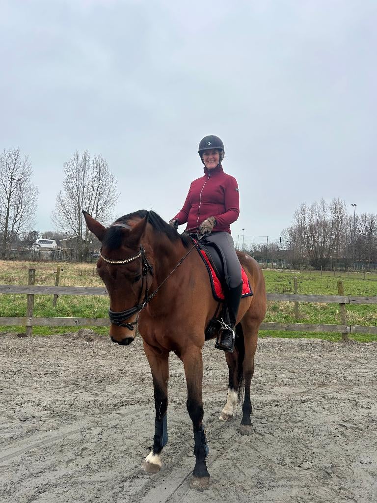 Jument, 11 ans ou plus, Avec pedigree, Ne s'applique pas, Jument
