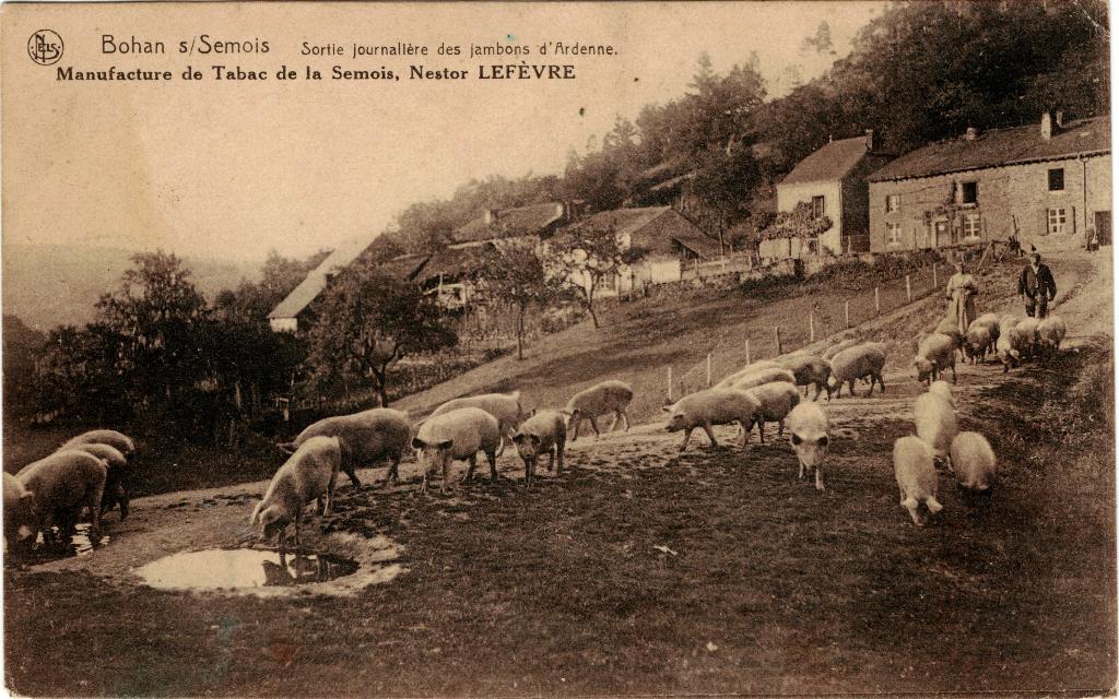 Bohan-sur-Semois Sortie journalière jambons d'Ardenne 1930, Envoi, 1920 à 1940, Affranchie, Namur