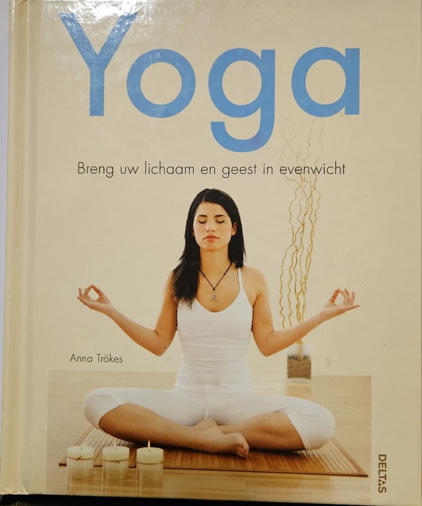 Boekje Yoga, Sports & Fitness, Yoga & Pilates, Enlèvement, Comme neuf, Autre