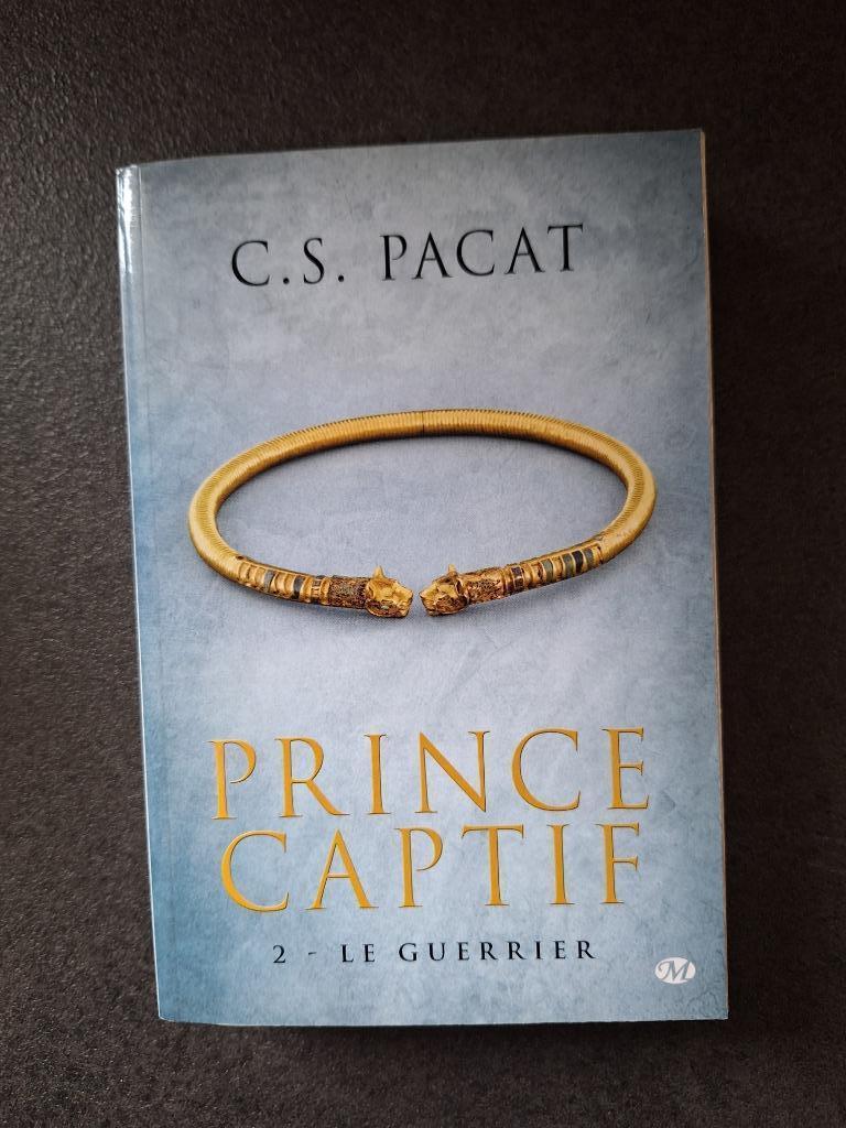 Prince captif - C.S. Pacat (le guerrier), Livres, Enlèvement, Utilisé, C.S. Pacat