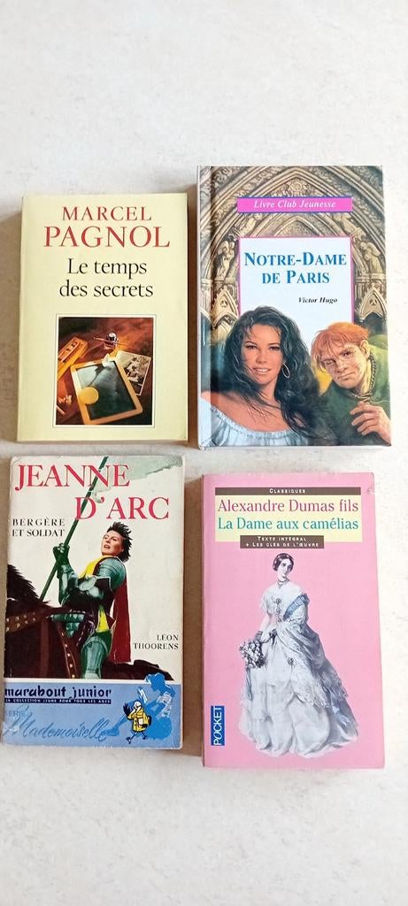 Boeken lezen: literatuur, geschiedenis..., Boeken, Literatuur, Zo goed als nieuw, Ophalen of Verzenden