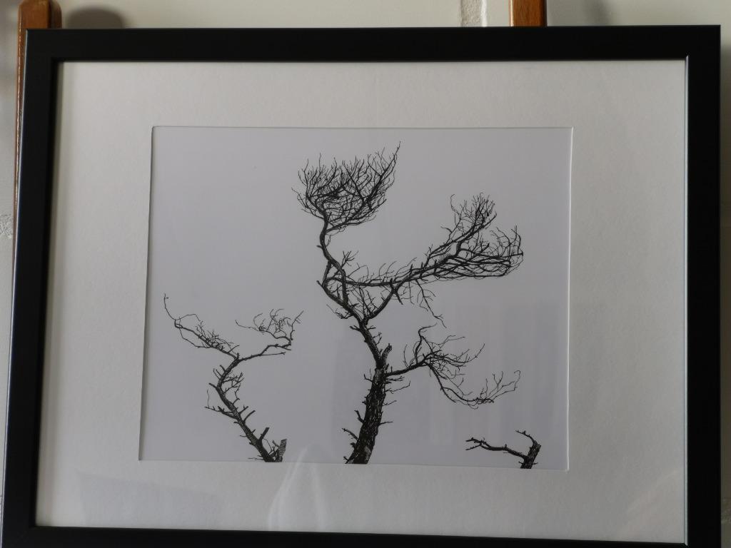 Na de brand (in de Liereman), Antiek en Kunst, Ophalen