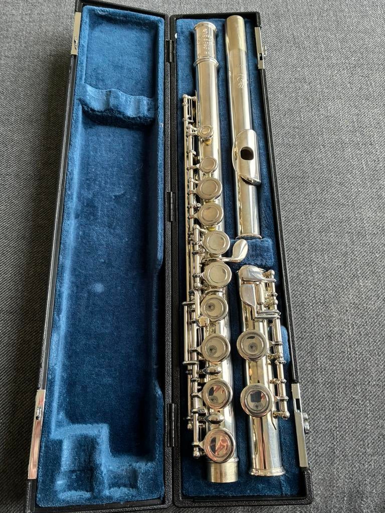 Dwarsfluit, Musique & Instruments, Enlèvement, Flûte traversière