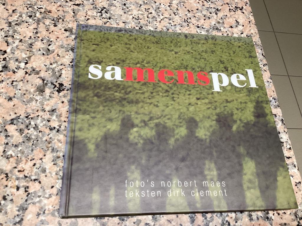 SAMENSPEL. Beschut wonen regio Izegem, Boeken, Ophalen of Verzenden, 20e eeuw of later, Zo goed als nieuw