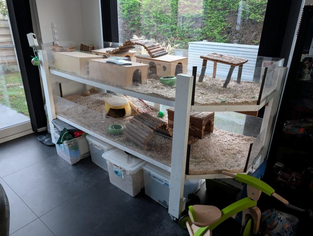 Caviakooi, Dieren en Toebehoren, Knaagdieren en Konijnen | Hokken en Kooien, Zo goed als nieuw, Ophalen