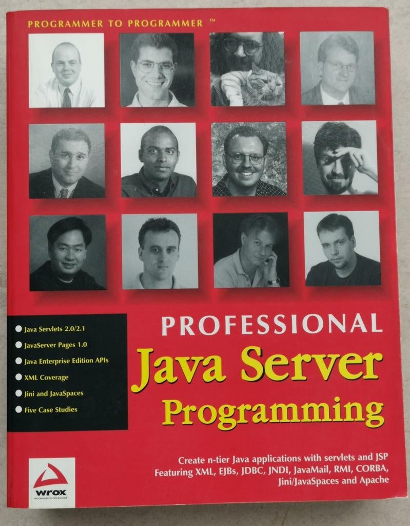 Professional JAVA Server programming, Enlèvement ou Envoi, Neuf
