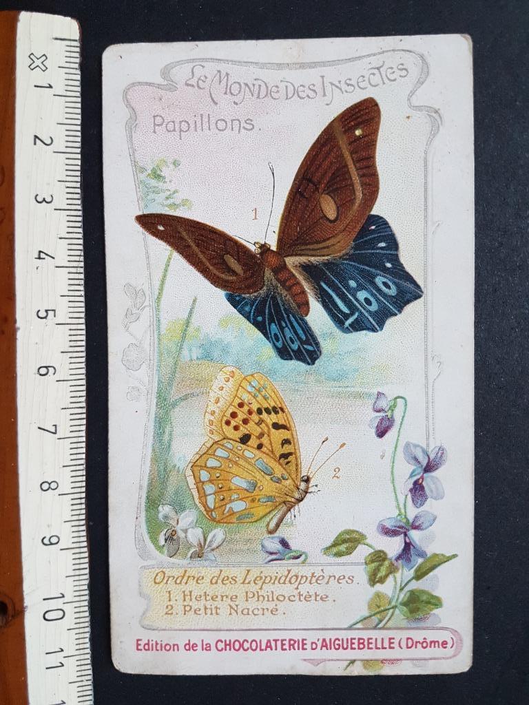 Chromo Chocolaterie d'Aiguebelle Papillons Butterfly, Enlèvement ou Envoi, Avant 1940, Gravure, Comme neuf