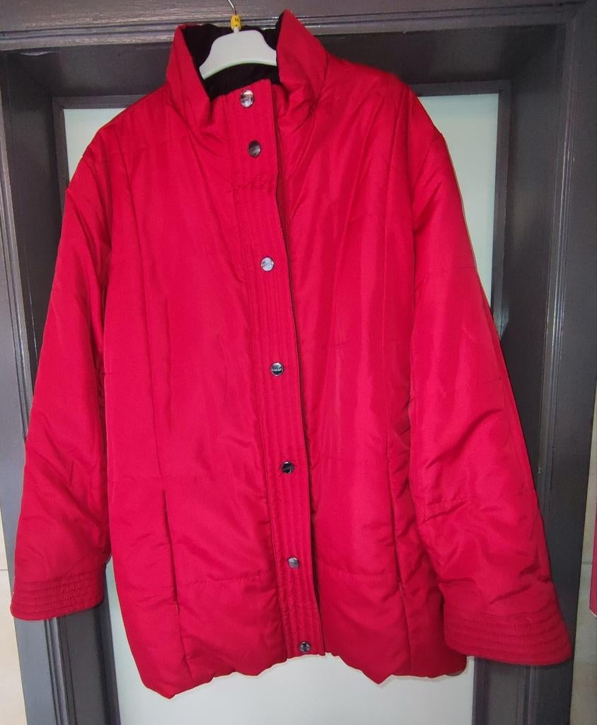 Omkeerbaar jasje, Kleding | Dames, Biaggini, Maat 46/48 (XL) of groter, Ophalen of Verzenden, Zo goed als nieuw