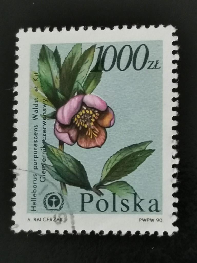 Polen 1990 - bloemen - Helleborus - nieskruid, Ophalen of Verzenden, Polen, Gestempeld
