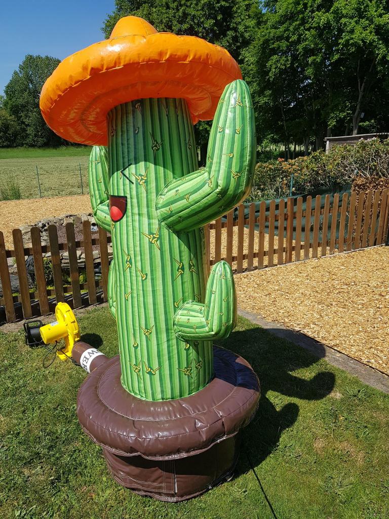 Cactus ringgooien - TE KOOP, Enfants & Bébés, Jouets | Extérieur | Coussins gonflables, Enlèvement, Comme neuf