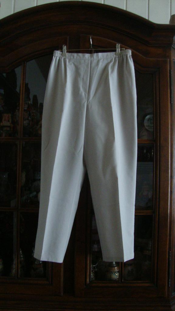 Lichtgrijze Damesbroek merk Daxon T42, Kleding | Heren, Broeken en Pantalons, Ophalen of Verzenden, Nieuw, Grijs, Andere
