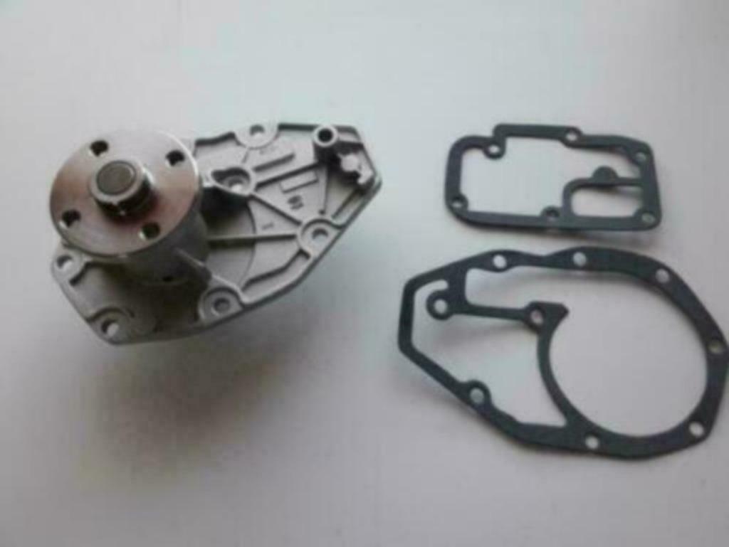 Waterpomp Daf 66 Volvo 66 - 340 - 343 345 Renault R12 - R15, Ophalen of Verzenden, Nieuw, Renault