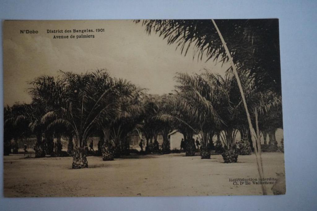 Carte postale Congo, Enlèvement ou Envoi, Avant 1920, Non affranchie, Hors Europe