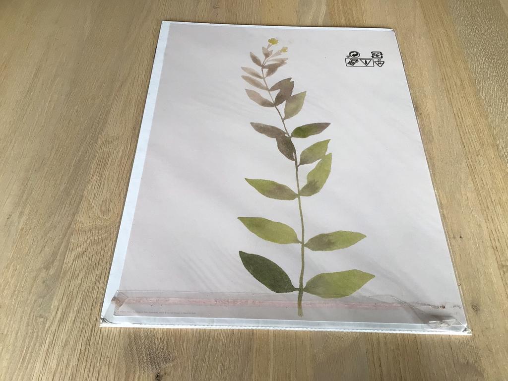 Posters IKEA, 2 stuks, nieuw, Ophalen of Verzenden, Nieuw