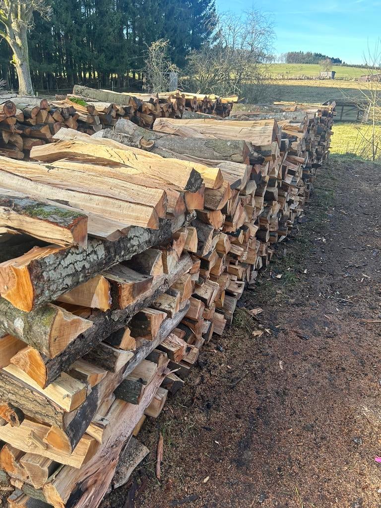 Bois de chauffage, Enlèvement, Hêtre, Bûches
