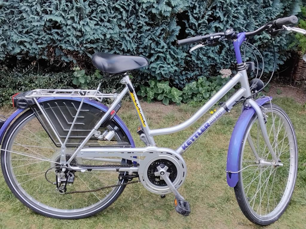 Damesfiets, Fietsen en Brommers, Fietsen | Dames | Damesfietsen, Gebruikt, Versnellingen, 56 cm of meer, Ophalen