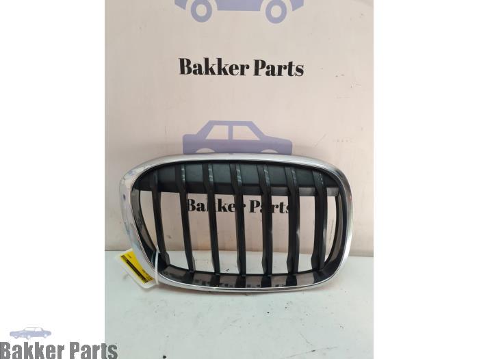 Calandre d'un BMW X1, Autos : Pièces & Accessoires, Carrosserie & Tôlerie, -, -, 3 mois de garantie, Utilisé