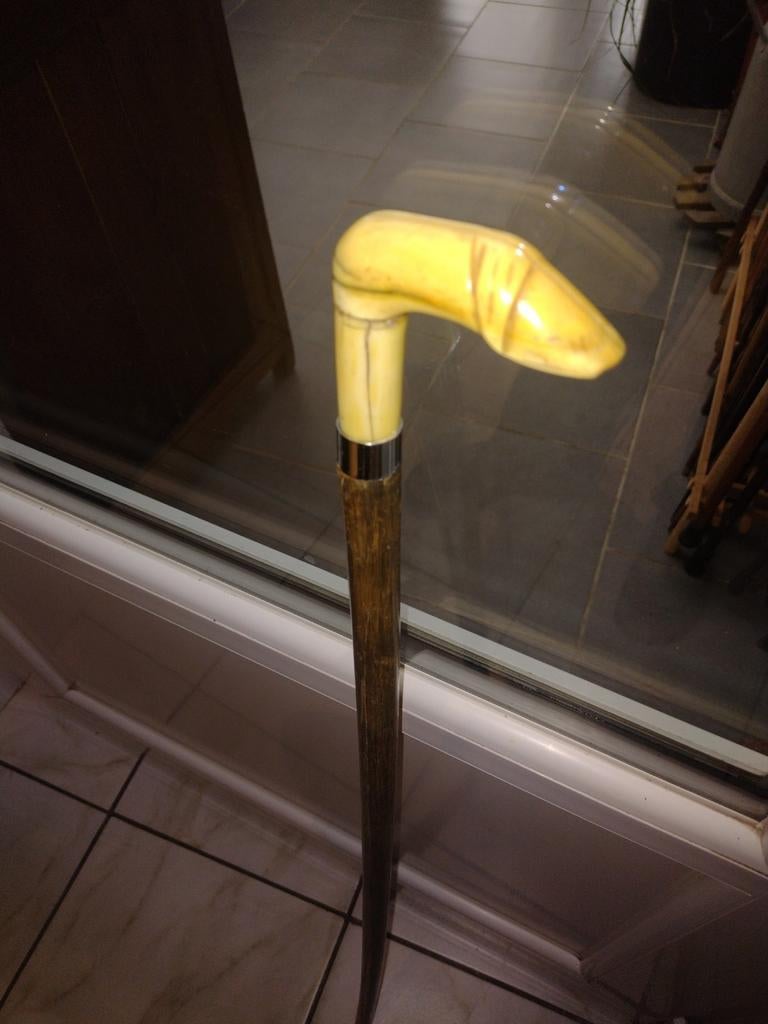 Ancienne canne   belle matière, Enlèvement ou Envoi