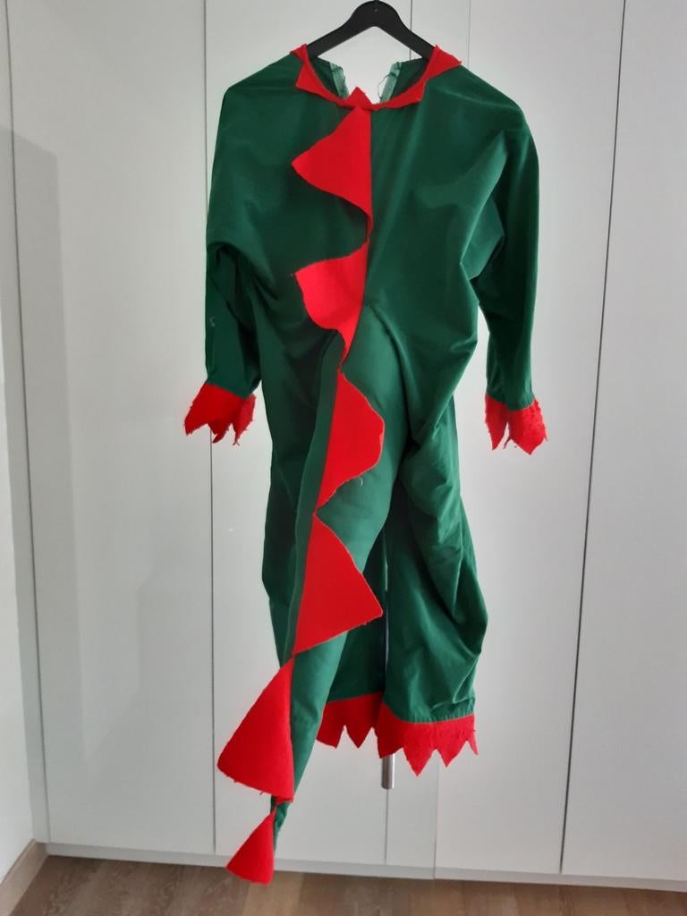 Verkleedkledij draak, Kleding | Heren, Carnavalskleding en Feestkleding, Ophalen of Verzenden, Gedragen