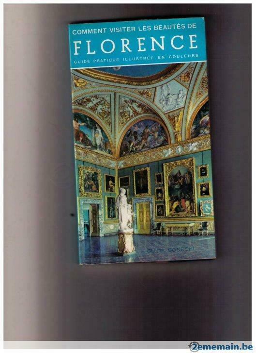 Hoe de schoonheden van Florence te bezoeken - Gids Bonechi, Boeken, Reisgidsen, Europa, Ophalen of Verzenden, Reisgids of -boek