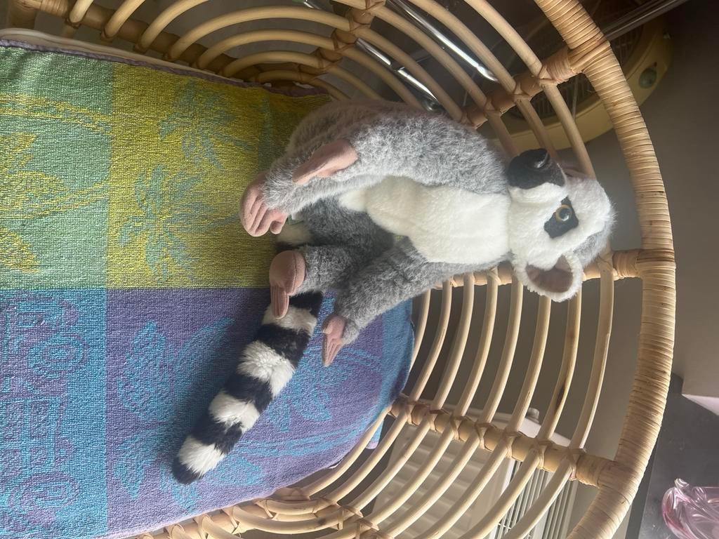 Peluche raton laveur, Enlèvement ou Envoi, Comme neuf
