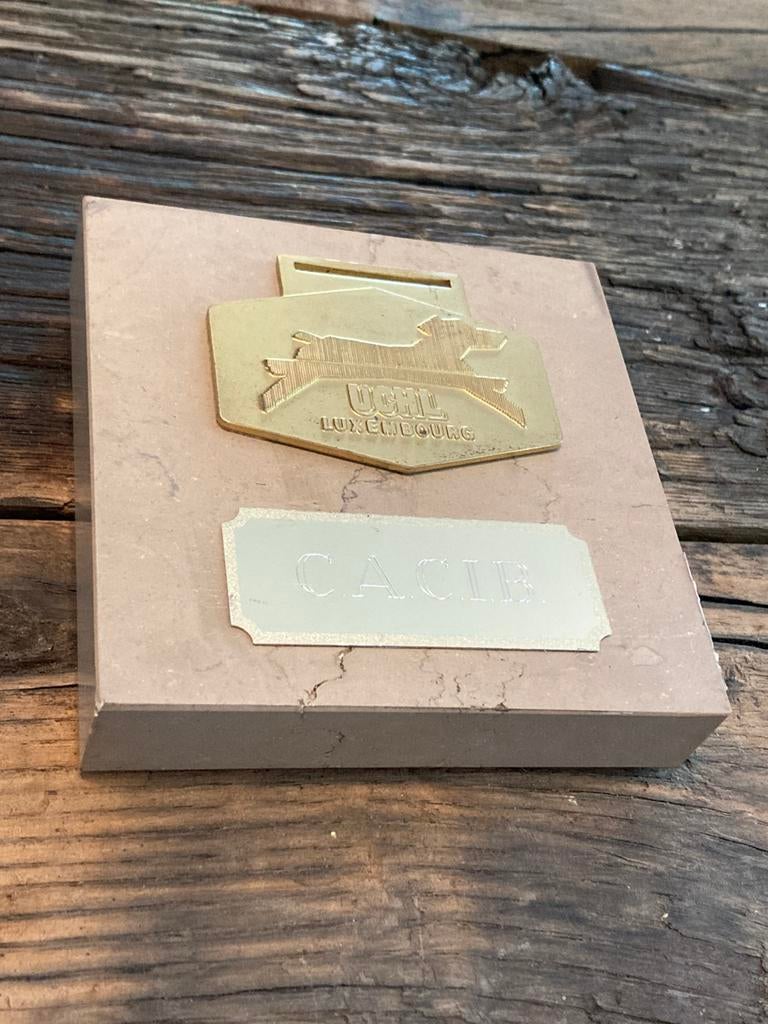 Trofee UCHL Wedstrijd hond gouden medaille op marmeren voet, Postzegels en Munten, Penningen en Medailles, Ophalen of Verzenden