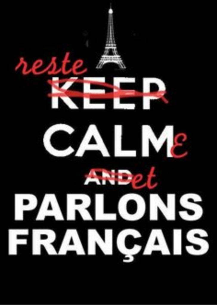 Bijlessen Frans, Services & Professionnels, Cours particuliers, Cours privés & Cours de langue, Leçon particulière, Supervision Examen ou Thèse