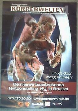 Affiche/affiche - Körperwelten 4 (2008) (60 x42 cm), Enlèvement ou Envoi, Neuf