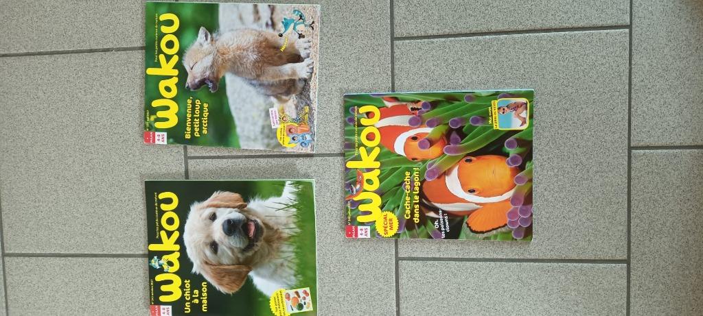 11 revues pour enfants de 4 à 8 ans Wakou, Garçon ou Fille, Comme neuf, Enlèvement, Livre de lecture