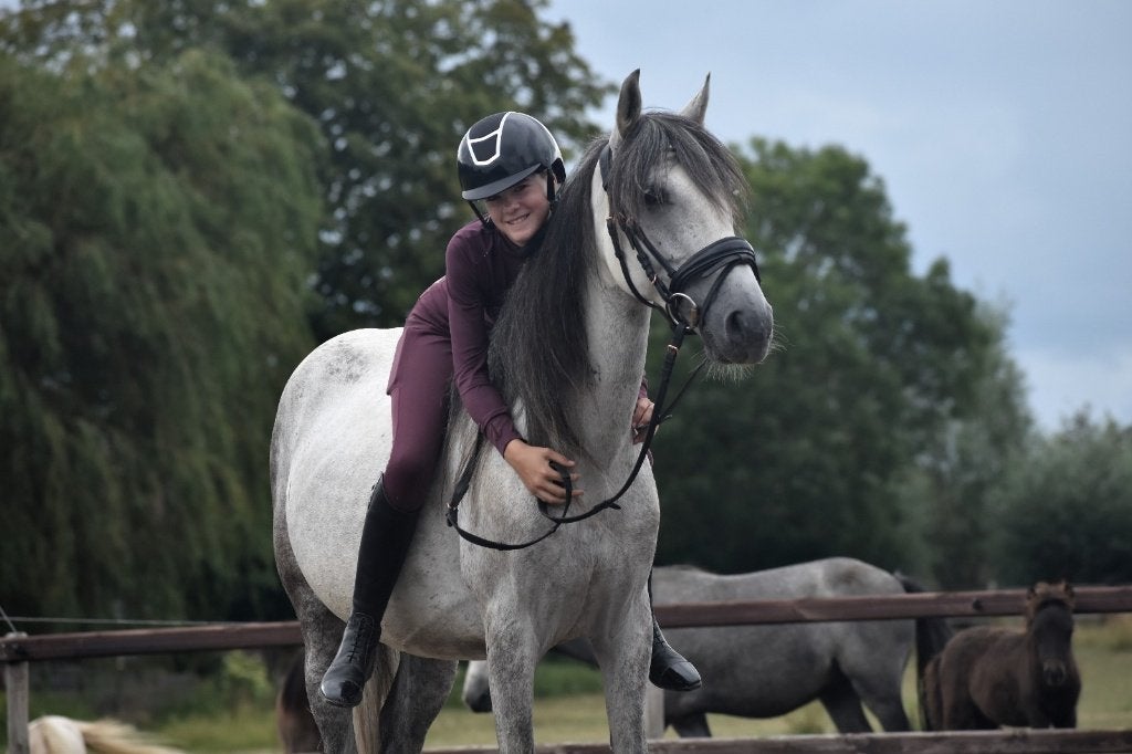 ## MEGA BRAVE en hele makke Epony ruin ##, Hongre, Cheval de récréation, Avec puce électronique, 7 à 10 ans