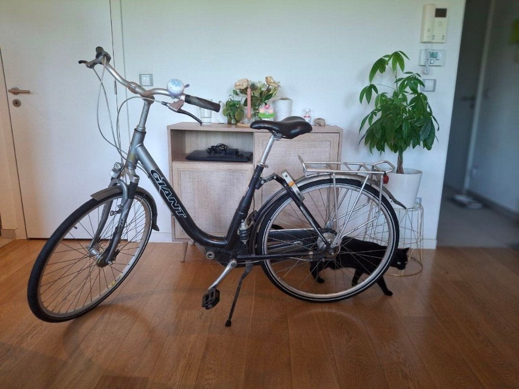 Giant Canberra damesfiets, Ophalen, Gebruikt, Versnellingen, Giant
