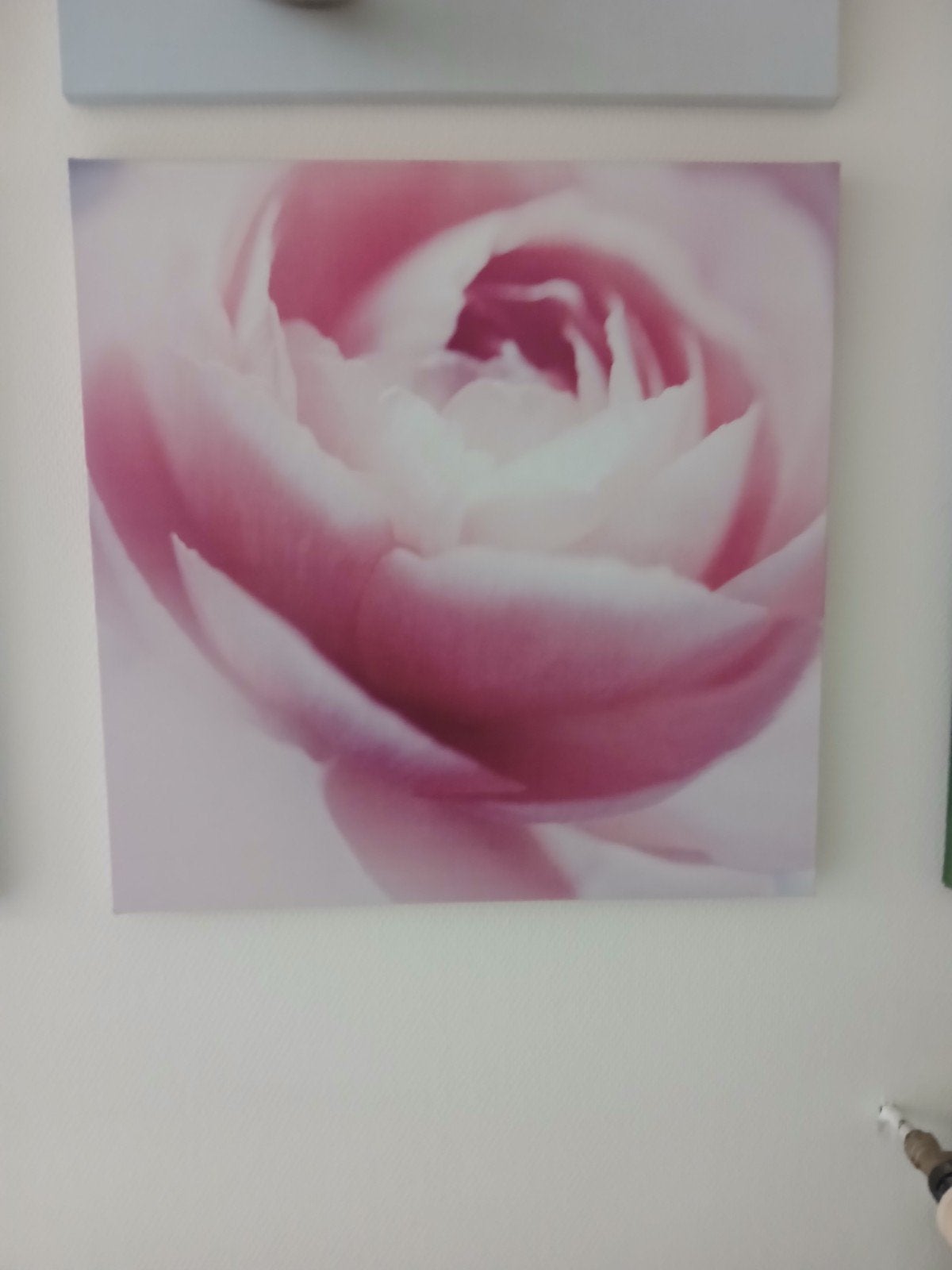 pattertyd canvas Ikea  55 op 55cm, Antiek en Kunst, Ophalen