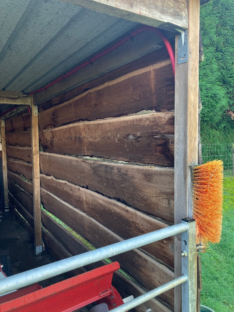 Schaaldelen Lariks, Ophalen